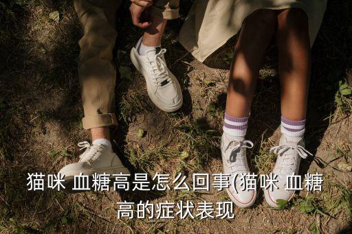 貓咪 血糖高是怎么回事(貓咪 血糖高的癥狀表現