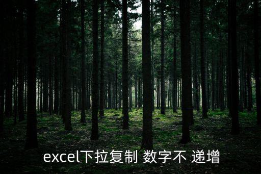  excel下拉復制 數(shù)字不 遞增