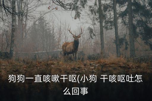 狗狗一直咳嗽干嘔(小狗 干咳嘔吐怎么回事