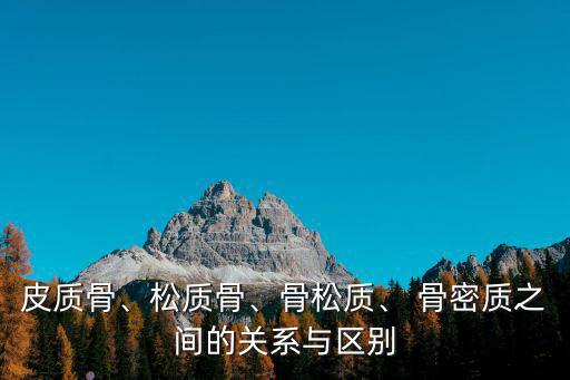 骨密質,人體骨骼分為兩種組成