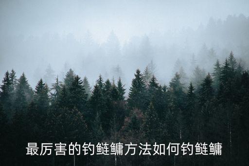 最厲害的釣鰱鳙方法如何釣鰱鳙