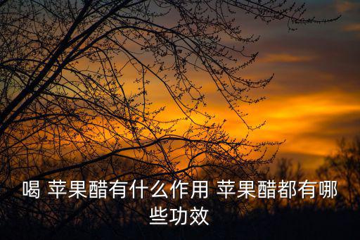 蘋果醋功效,蘋果醋營養(yǎng)分析:有助預(yù)防冠病及降血脂