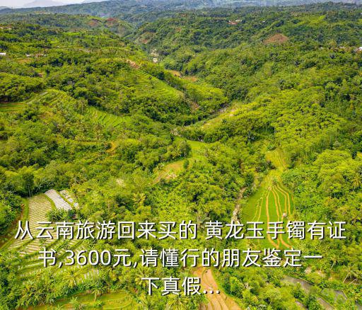 從云南旅游回來買的 黃龍玉手鐲有證書,3600元,請懂行的朋友鑒定一下真假...