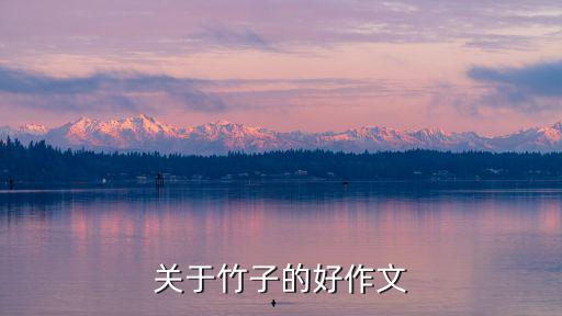 關(guān)于竹子的好作文