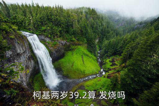 柯基兩歲39.2算 發(fā)燒嗎