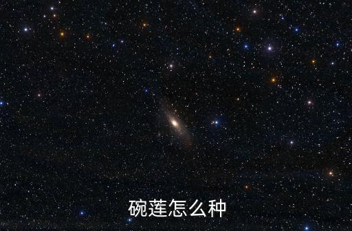  碗蓮怎么種