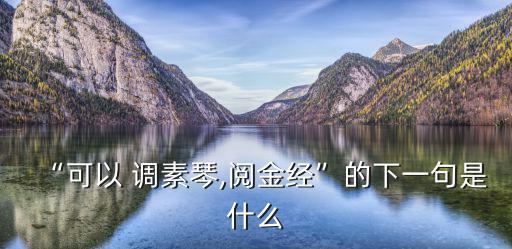 “可以 調素琴,閱金經”的下一句是什么