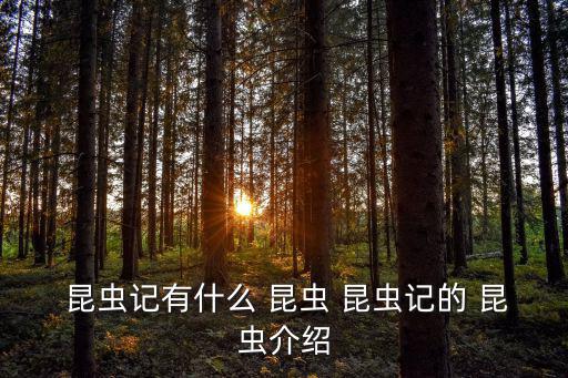  昆蟲記有什么 昆蟲 昆蟲記的 昆蟲介紹
