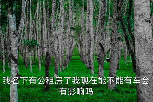 我名下有公租房了我現(xiàn)在能不能有車會(huì)有影響嗎