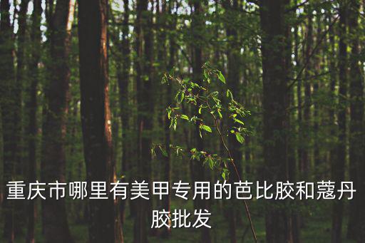重慶市哪里有美甲專(zhuān)用的芭比膠和蔻丹膠批發(fā)