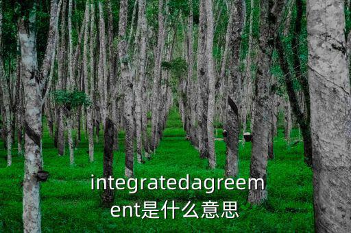 integratedagreement是什么意思