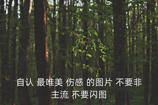 自認 最唯美 傷感 的圖片 不要非主流 不要閃圖
