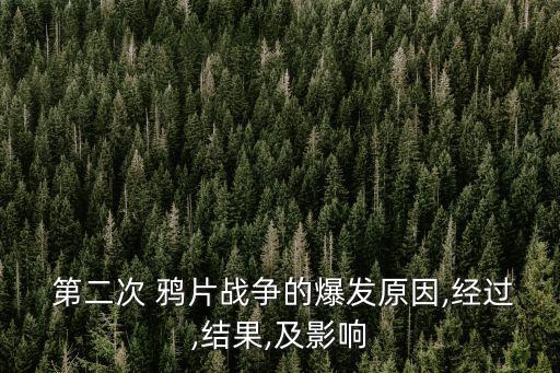  第二次 鴉片戰爭的爆發原因,經過,結果,及影響
