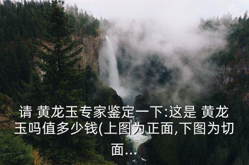 請 黃龍玉專家鑒定一下:這是 黃龍玉嗎值多少錢(上圖為正面,下圖為切面...
