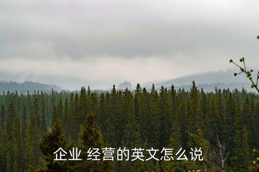 企業(yè) 經營的英文怎么說