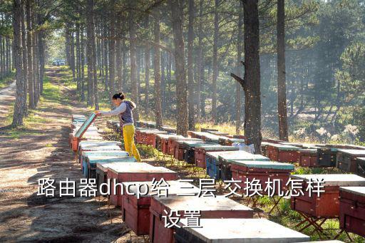 三層交換機配置,三層交換機設置須注意哪四點?