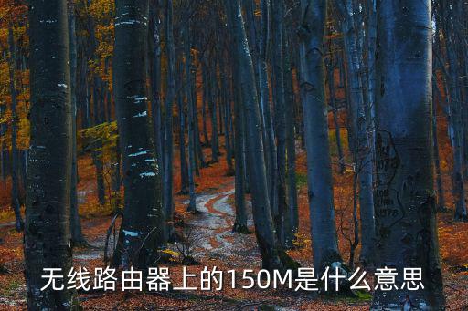 無(wú)線路由器上的150M是什么意思