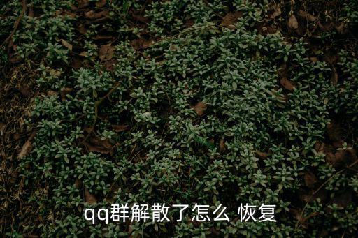  qq群解散了怎么 恢復