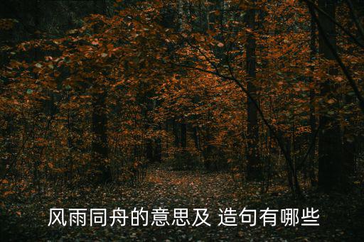 風雨同舟造句,第二集:風雨同舟共創奇跡