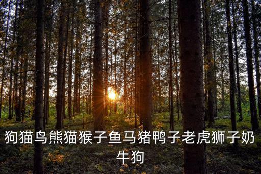 狗貓鳥熊貓猴子魚馬豬鴨子老虎獅子奶牛狗