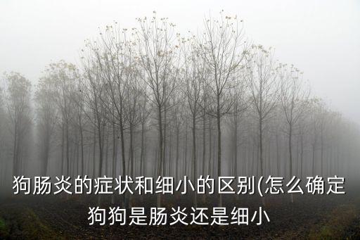 狗腸炎的癥狀和細小的區別(怎么確定狗狗是腸炎還是細小