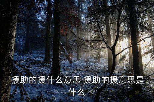  援助的援什么意思 援助的援意思是什么