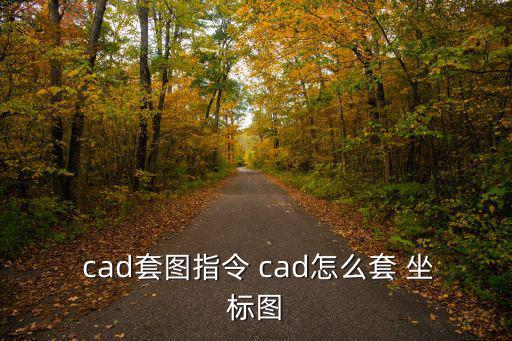  cad套圖指令 cad怎么套 坐標圖