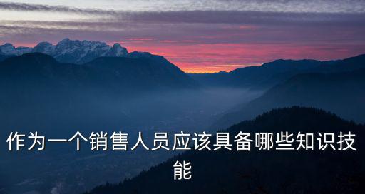 作為一個銷售人員應該具備哪些知識技能