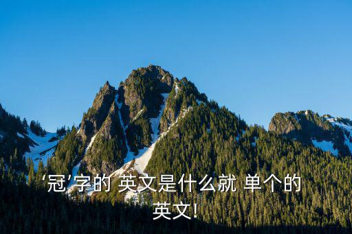 單個的英文,英國《哈利·波特》作者名字可以縮寫