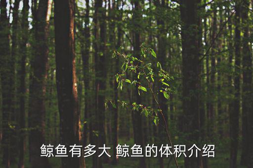  鯨魚(yú)有多大 鯨魚(yú)的體積介紹