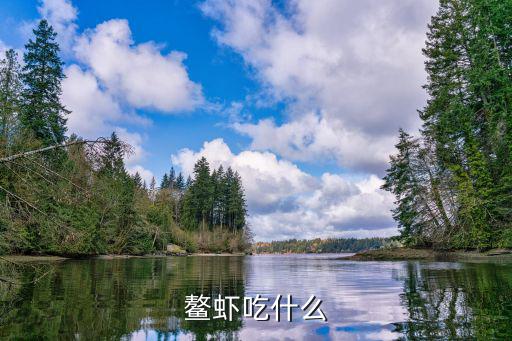 螯蝦,小龍蝦和牡蠣蝦的區別