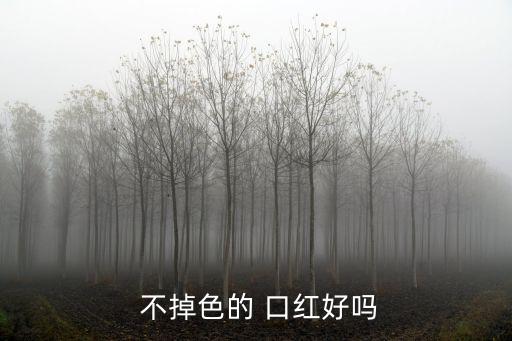不掉色的口紅,關于顏色的正文（13）