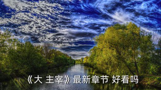 《大 主宰》最新章節 好看嗎