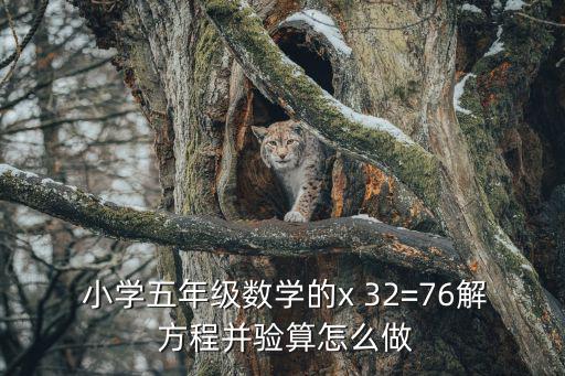  小學(xué)五年級(jí)數(shù)學(xué)的x 32=76解 方程并驗(yàn)算怎么做