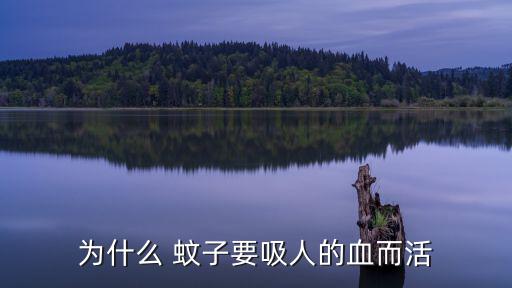 為什么 蚊子要吸人的血而活