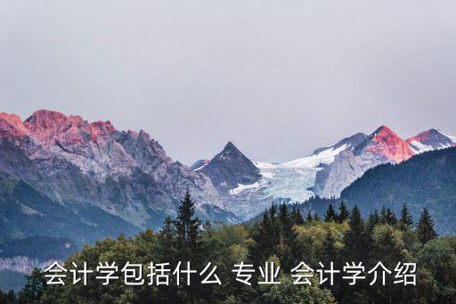  會計學包括什么 專業 會計學介紹