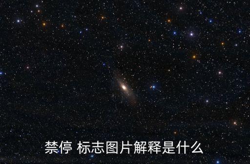 禁停 標志圖片解釋是什么