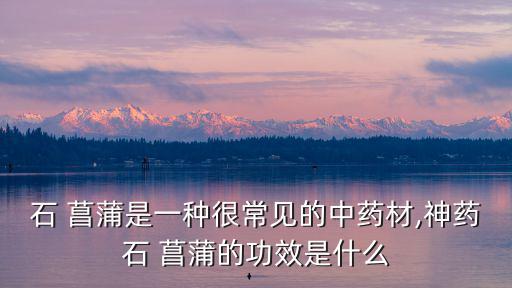 石 菖蒲是一種很常見(jiàn)的中藥材,神藥石 菖蒲的功效是什么