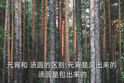 元宵和 湯圓的區別:元宵是滾出來的 湯圓是包出來的