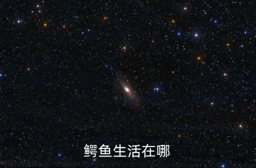 鱷魚生活在哪