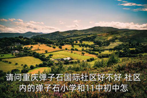 請問重慶彈子石國際社區好不好 社區內的彈子石小學和11中初中怎