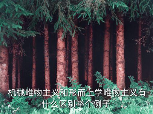 機械唯物主義,馬哲機械唯物主義是形而上學唯物主義