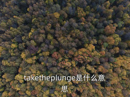 taketheplunge是什么意思