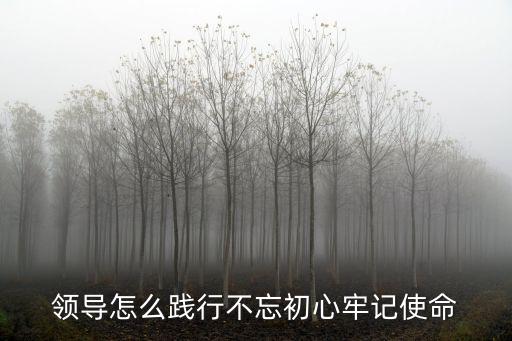 領(lǐng)導(dǎo)怎么踐行不忘初心牢記使命