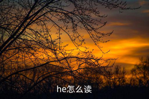 he怎么讀