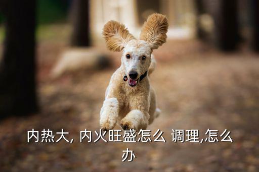 內火旺怎么調理,內火怎么調理?