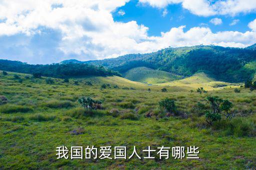 我國(guó)的愛(ài)國(guó)人士有哪些