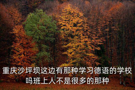 重慶沙坪壩這邊有那種學習德語的學校嗎班上人不是很多的那種