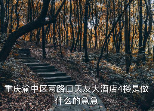 重慶渝中區兩路口天友大酒店4樓是做什么的急急