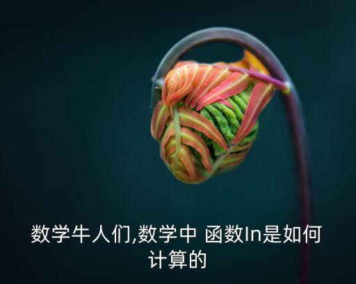 in函數(shù),自然對數(shù)的含義